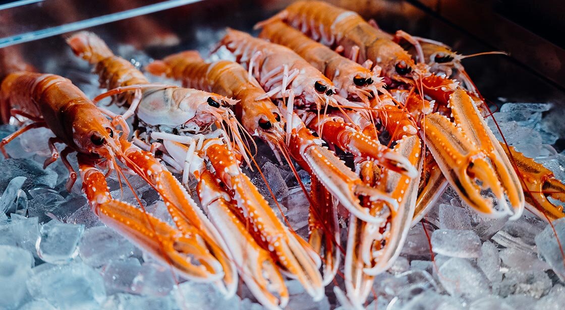 الكركند النرويجي