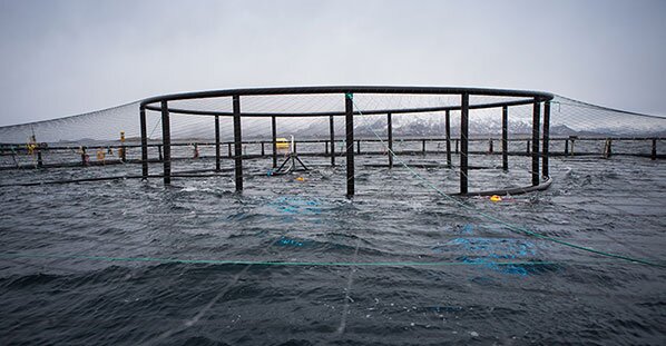 مزارع بحرية